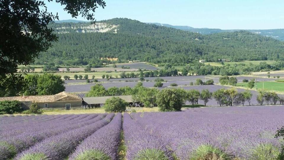 Chambre Privee Independante Au Coeur Du Luberon Saint-Saturnin-d'Apt Exteriér fotografie